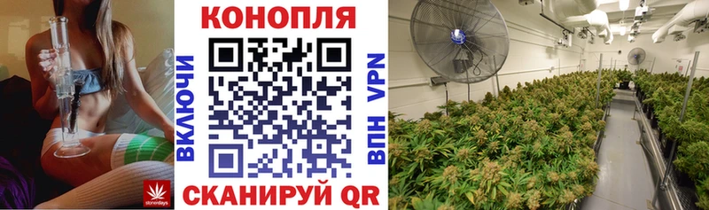 Магазины продажи наркотиков Гаджиево Альфа ПВП  МЕФ  Псилоцибиновые грибы  ГАШ 
