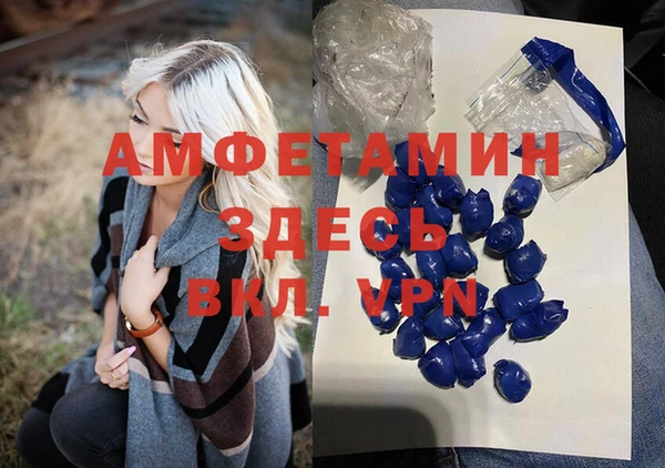 ешки Алексин