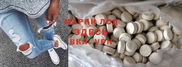 ГАЛЛЮЦИНОГЕННЫЕ ГРИБЫ Абаза