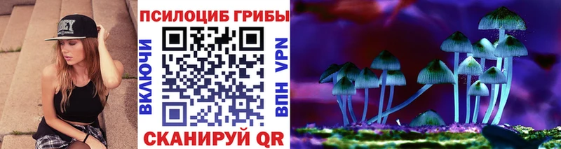 Псилоцибиновые грибы GOLDEN TEACHER ОМГ ОМГ вход Гаджиево